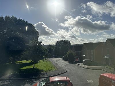 Picture 10